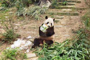 灵巧的亿先生！维尔茨戏耍过掉两人小角度射门被扑！